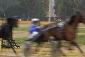 una gara di trotto ippica