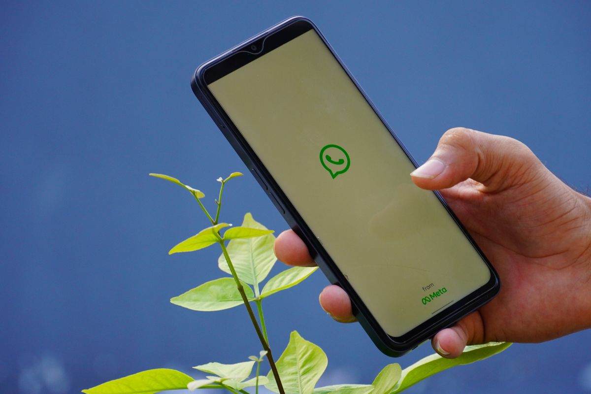 Display di WhatsApp di Meta