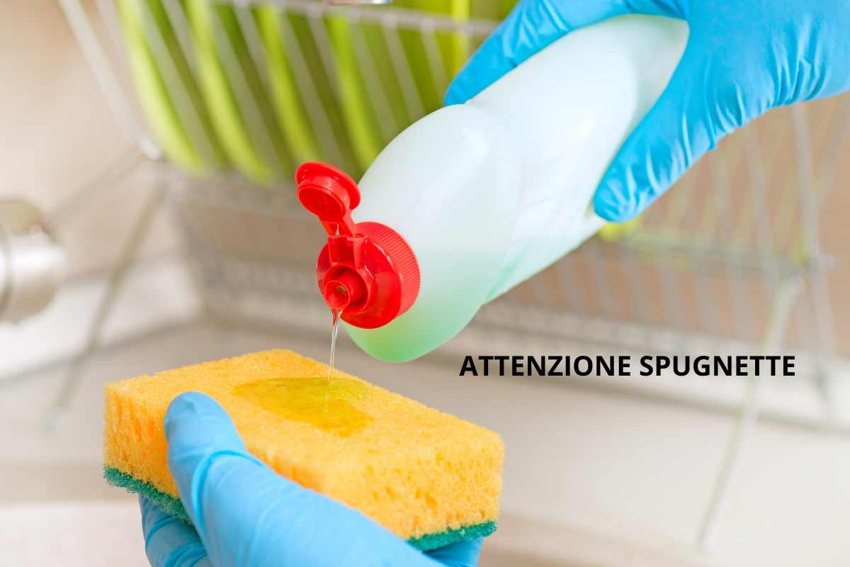 Troppi germi spugnette come disinfettarle