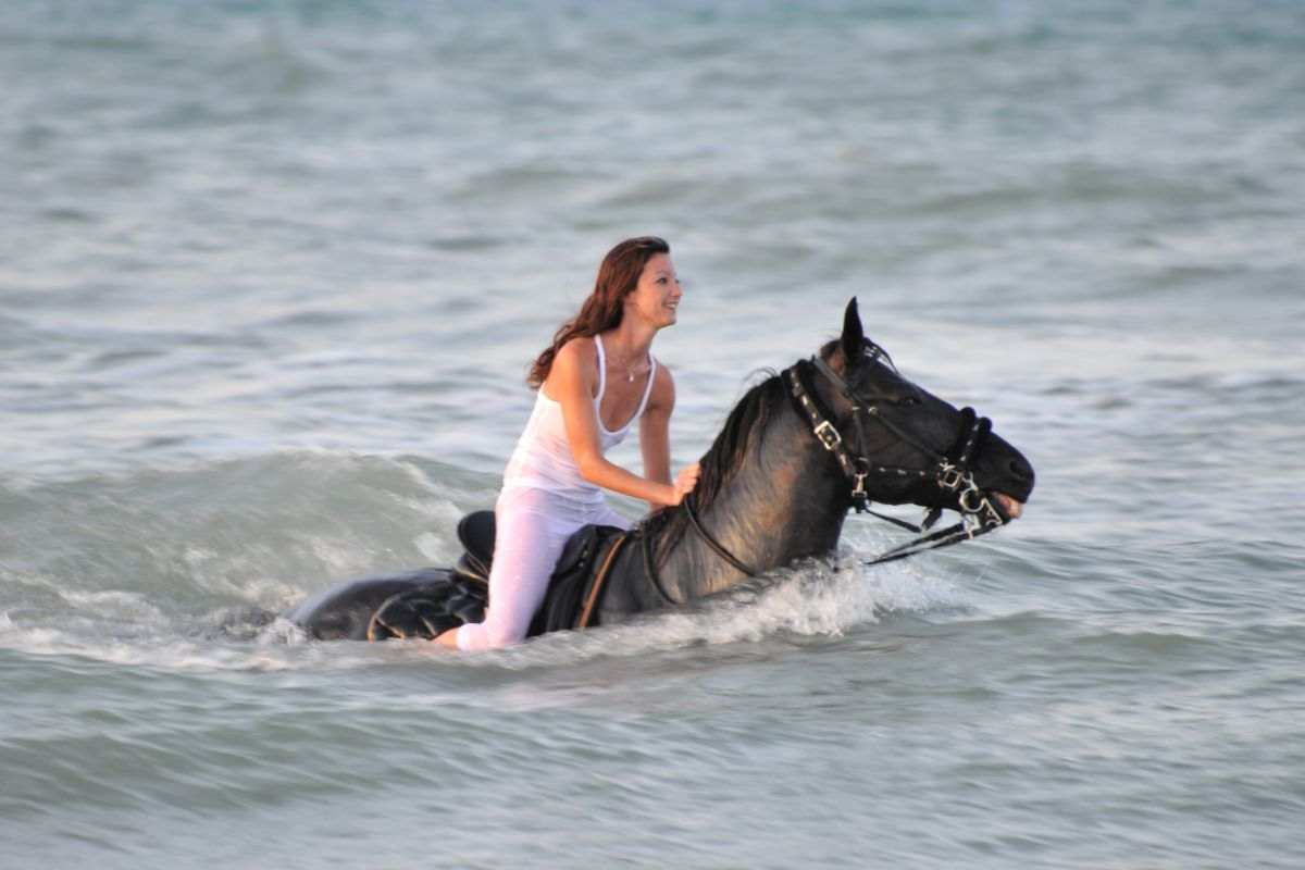 donna su un cavallo che nuota