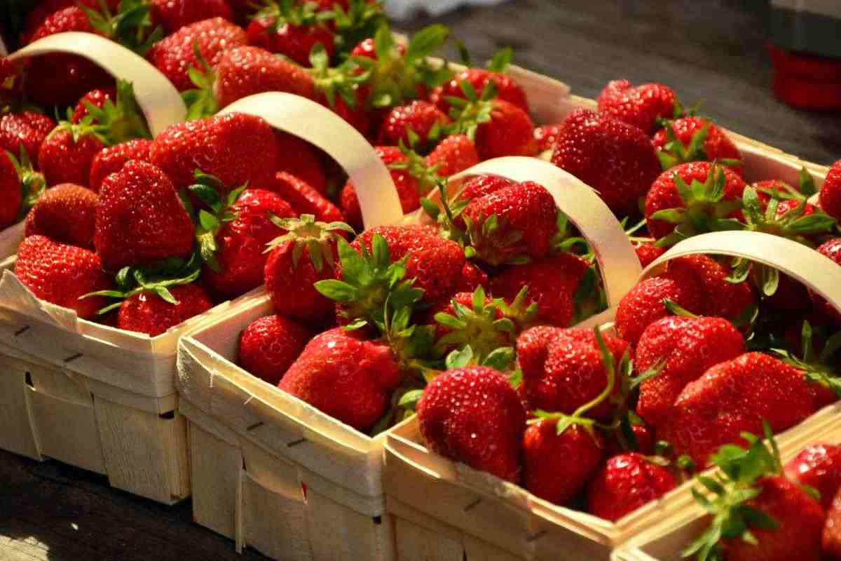 cestini di fragole