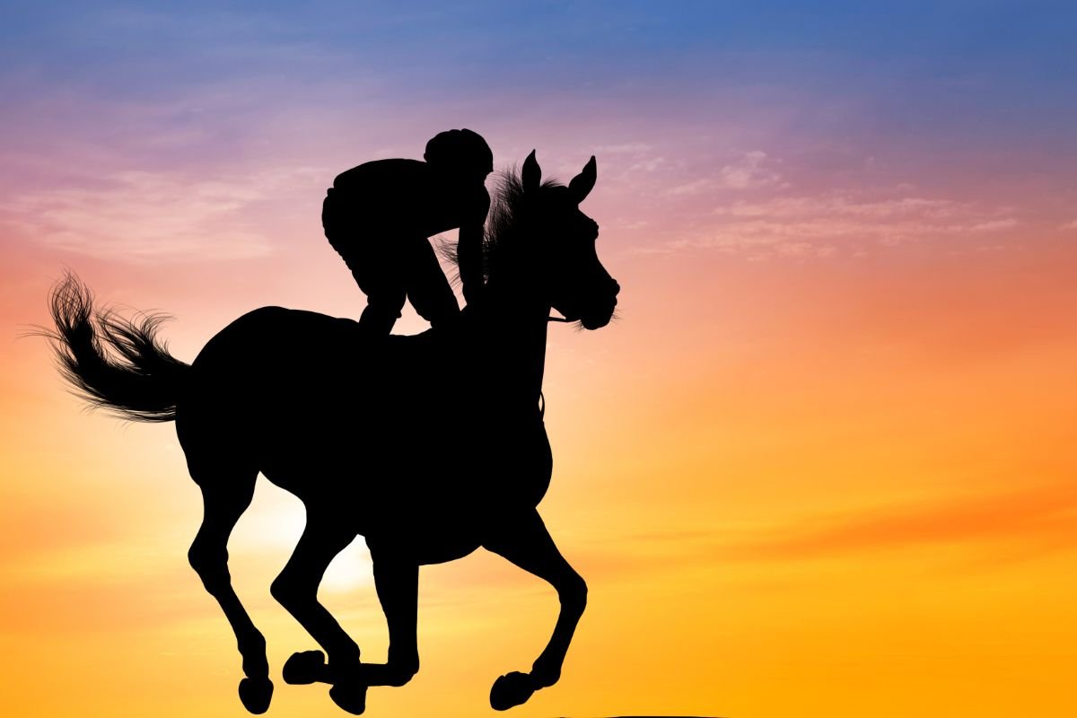 fantino e cavallo al tramonto