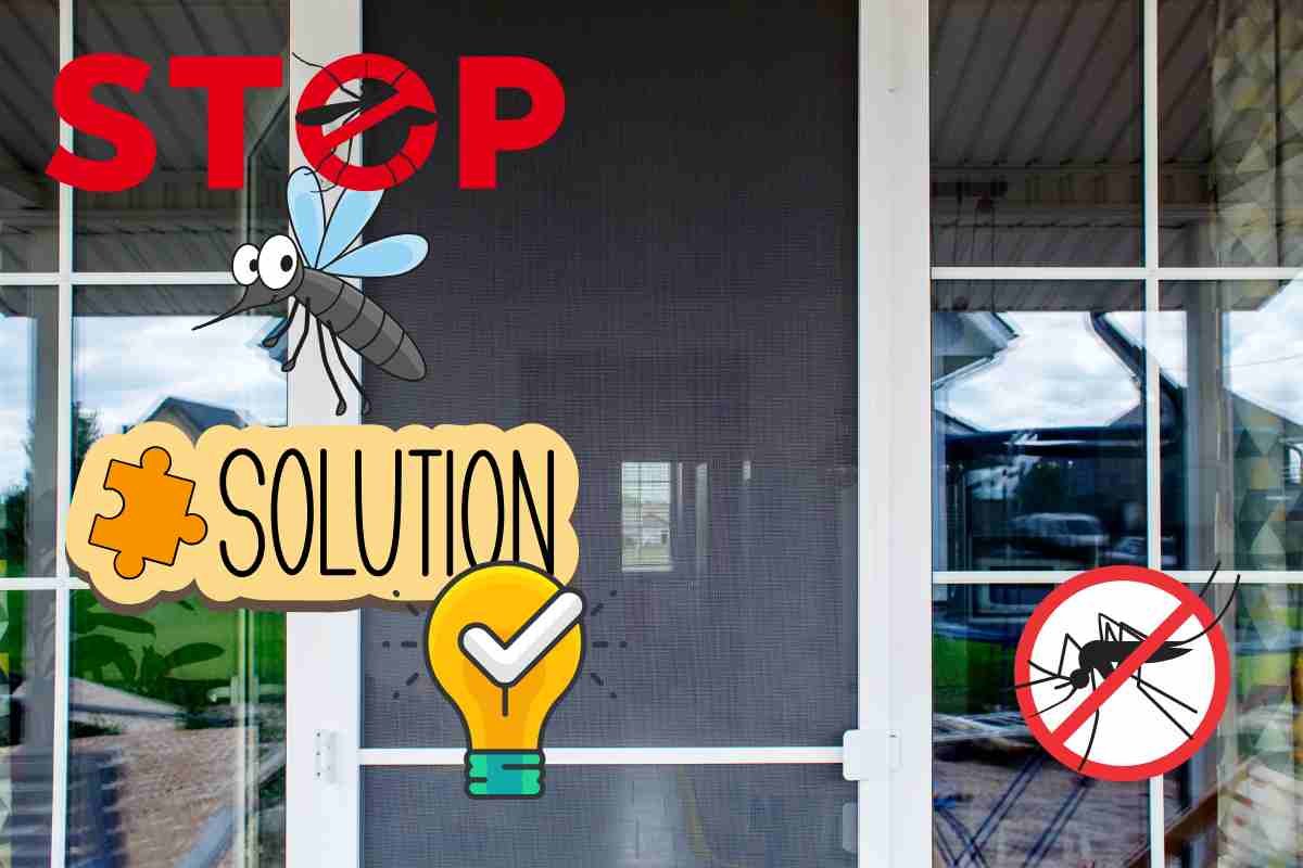 stop a zanzariere e zanzare, la soluzione