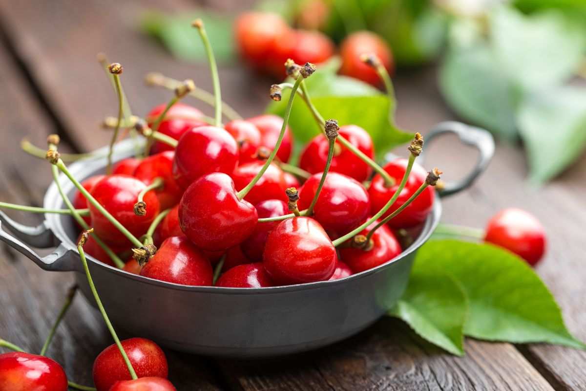 Ciotola contenente fresche ciliegie