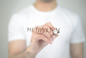 Metabolismo